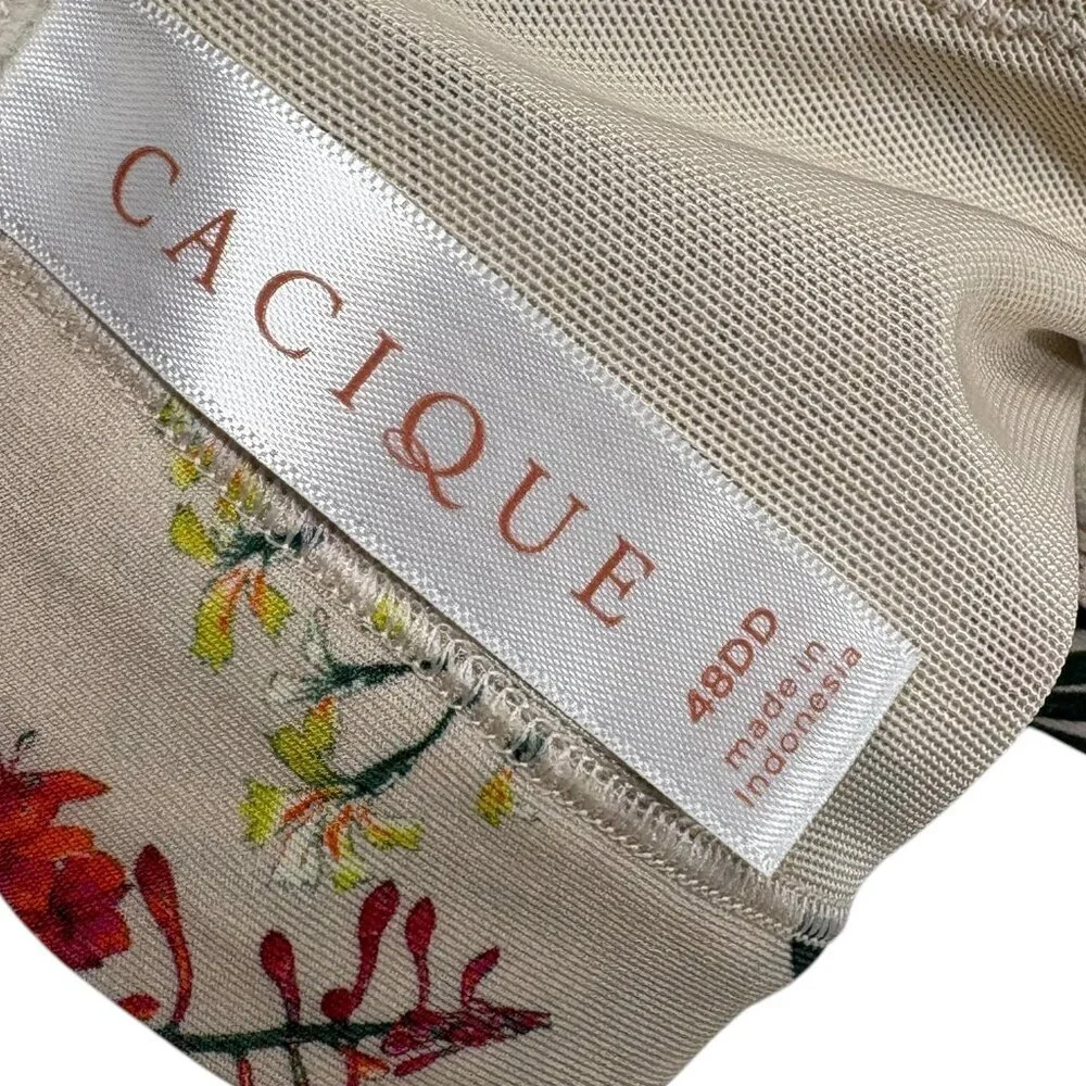 Cacique lane bryant